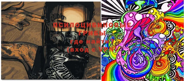 кокс Ладушкин