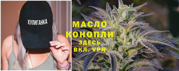 винт Лабытнанги