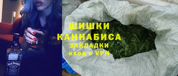 молекула духа Лагань